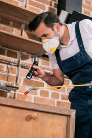 A Guide To Picking the Best Pest Control Company In Singapore