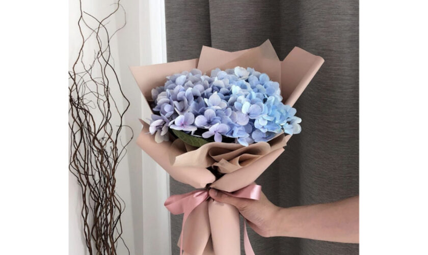 Caring for Timeless Beauty Hydrangea Bouquets Rose Bouquets