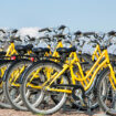 The Joy of Leisure Cycling A Budget Friendly Guide to Bicycle Rentals