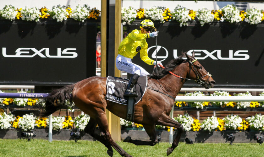 What are the early betting odds for the Melbourne Cup 2024