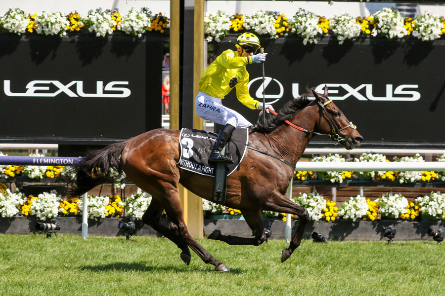 What are the early betting odds for the Melbourne Cup 2024